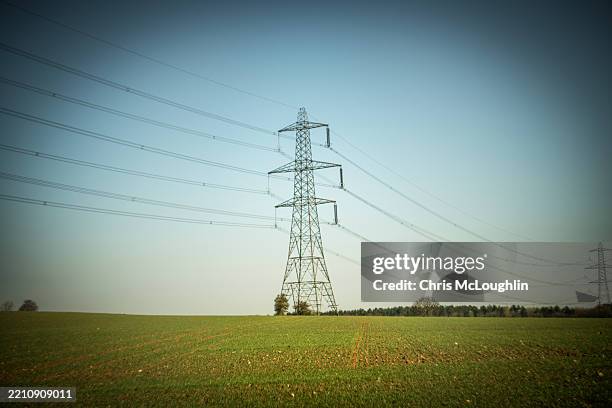 electricity pylon over a crop field - powerlines landscape stock pictures, royalty-free photos & images