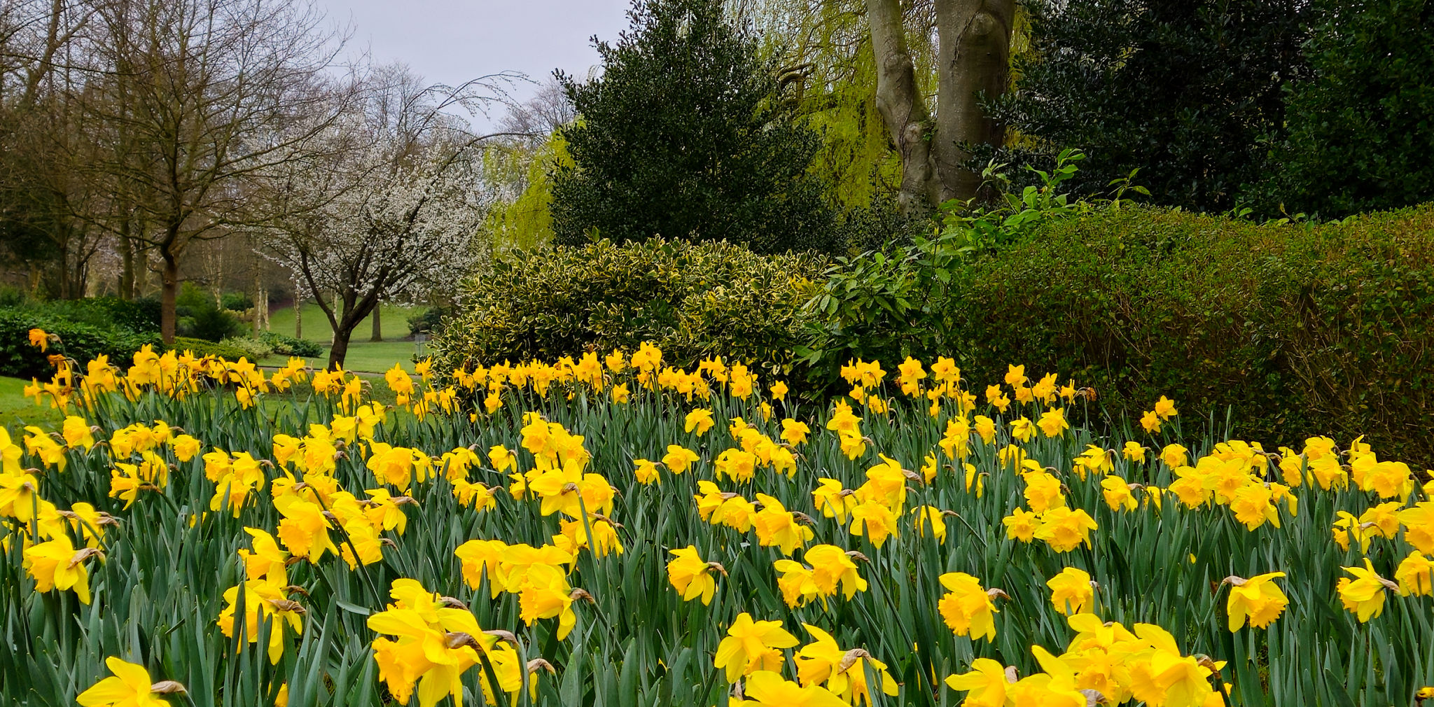 UK garden