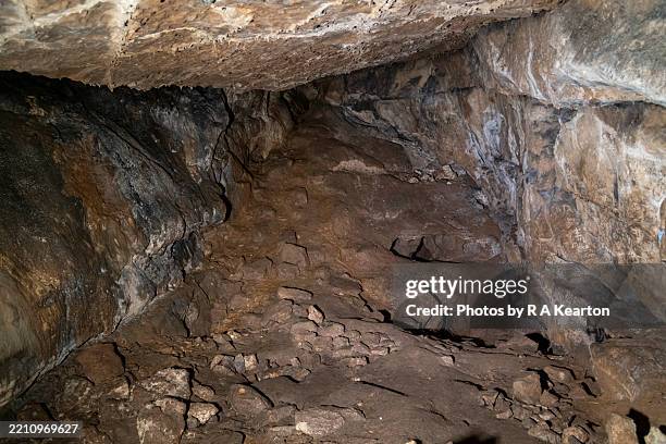 Mini Cave 1,318 Mini Cave Stock Photos, High-Res Pictures, and Images - Getty Images