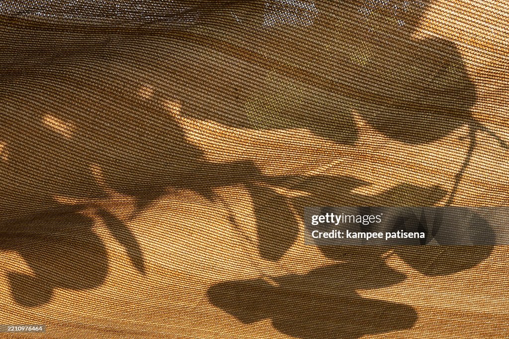 A shadow of a tree is cast on a tan fabric background