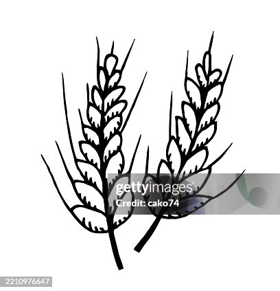 Spike Vector Images Hand Drawn Spike Illustration High-Res Vector Graphic - Getty Images