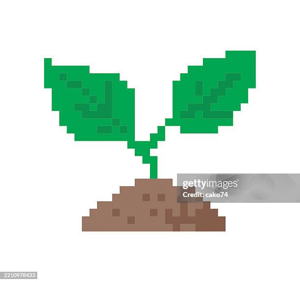 pixel young plant and soil - sapling stock illustrations