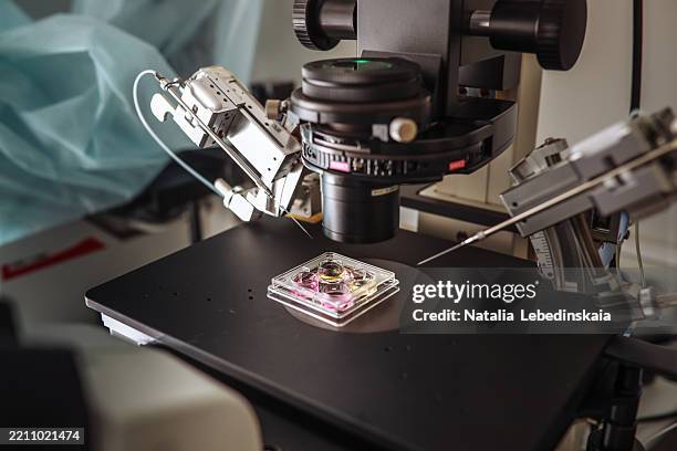 Using Inverted Microscope 75 Inverted Microscope Stock Photos, High-Res Pictures, and Images ...
