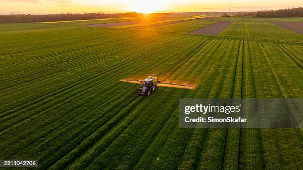 tractor fertilizando campo agrícola verde durante la puesta de sol dorada - plantación fotografías e imágenes de stock