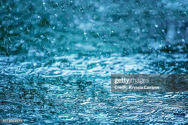 heavy rainfall creating ripples on water surface - rainy season stock pictures, royalty-free photos & images