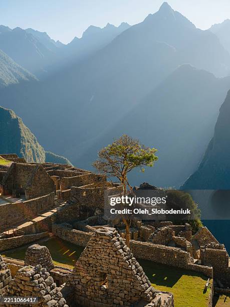 malerischer blick auf machu picchu, der von den strahlen des sonnenaufgangs beleuchtet wird - peru stock-fotos und bilder