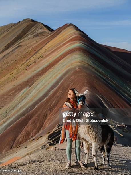 frau mit alpakas vor dem hintergrund des regenbogenbergs in peru - peru stock-fotos und bilder