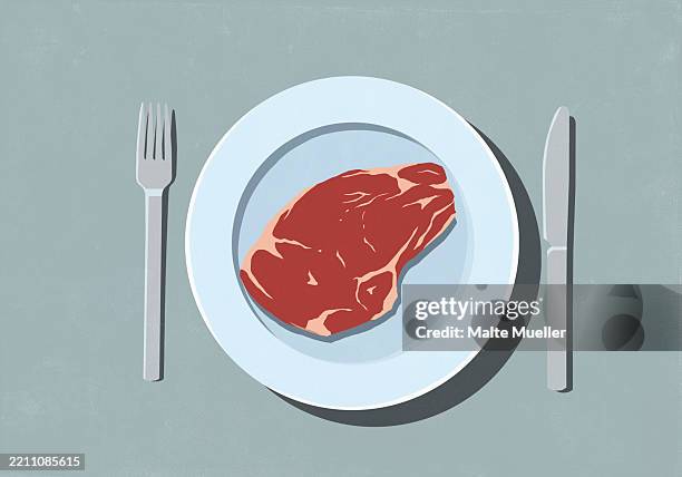 view from above raw steak on dinner plate - red meat stock illustrations