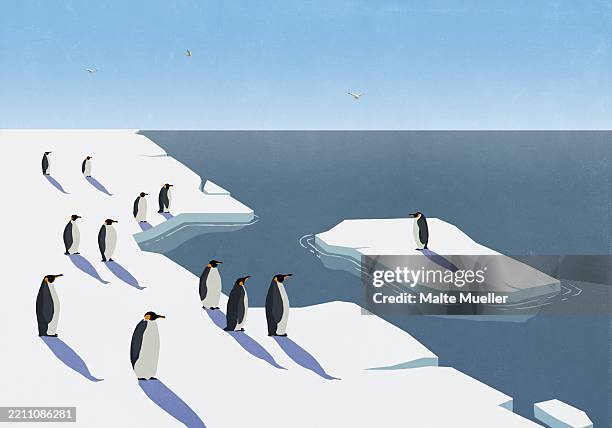 ilustraciones, imágenes clip art, dibujos animados e iconos de stock de penguins on shore watching lone penguin drift away on floating ice - exclusión