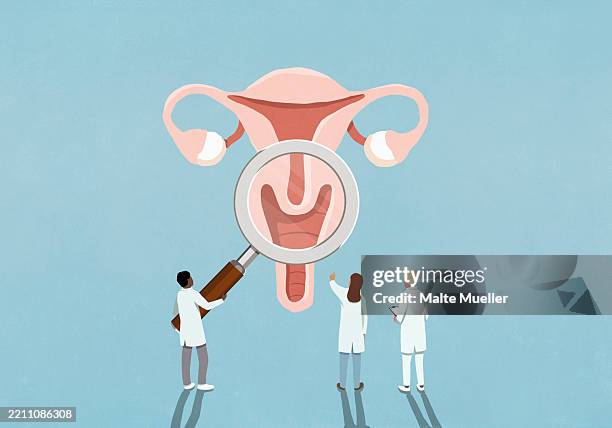 ilustraciones, imágenes clip art, dibujos animados e iconos de stock de doctors with magnifying glass examining female reproductive system - útero humano