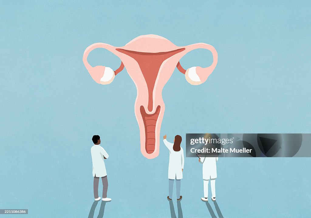 Doctors examining and discussing female reproductive system