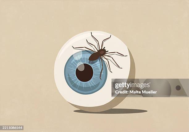 spider crawling over large blue eyeball - eyeball stock illustrations