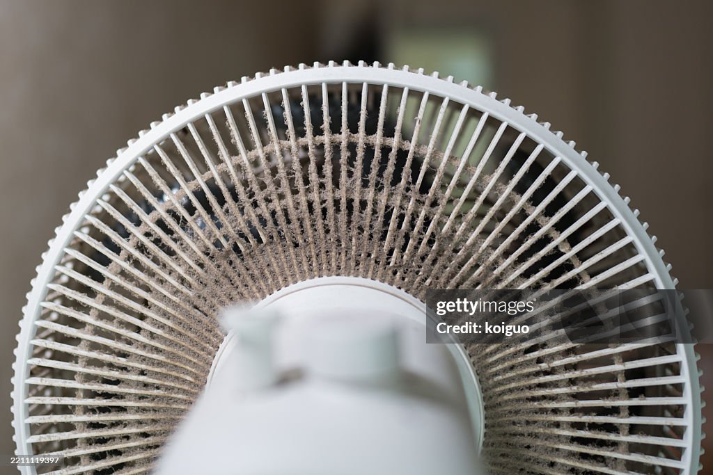 Dirt absorbed by the fan structure