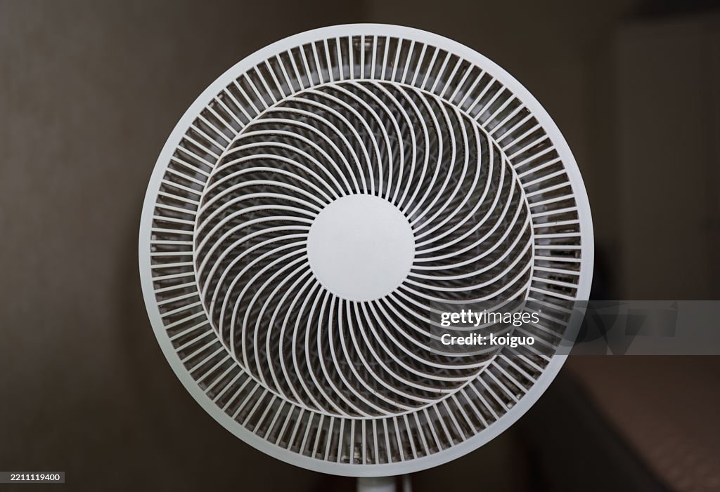 Dirt absorbed by the fan structure