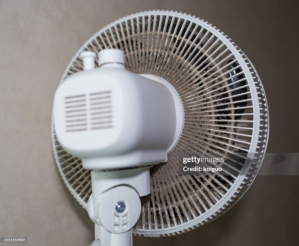 Dirt absorbed by the fan structure