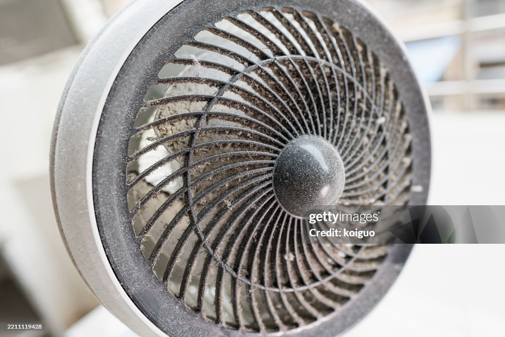 Dirt absorbed by the fan structure