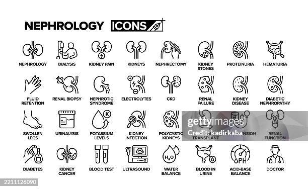 nephrologie-zeilen-icon-set. gruppe von objekten. dialyse, nieren, nephrektomie, nierensteine, nierentransplantationen, nierenkrebs. - chronische erkrankung stock-grafiken, -clipart, -cartoons und -symbole