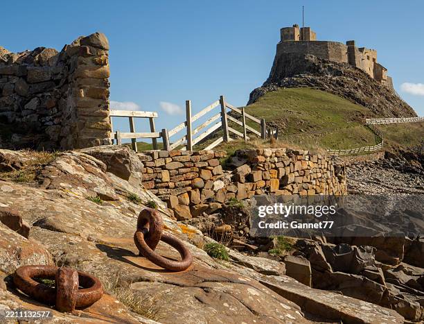 lindisfarne castle, northumberland - lindisfarne stock pictures, royalty-free photos & images