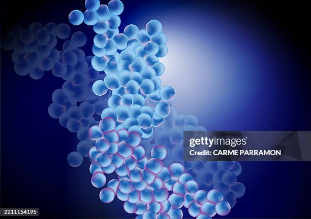 protein structure - enzyme stock illustrations