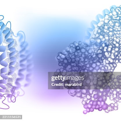 Molecular Innovation Protein Cell Science Molecular Innovation Protein Cell Science