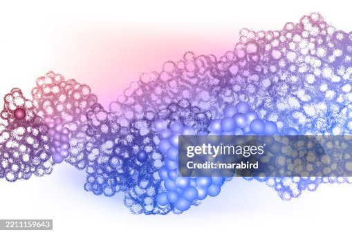 Dynamic Protein Cell Science Innovation Dynamic Protein Cell Science Innovation
