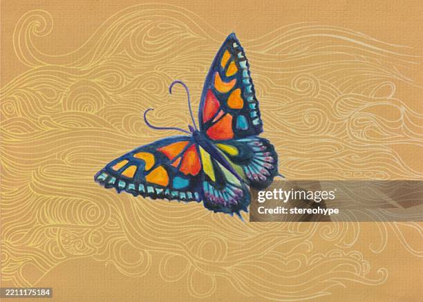 butterfly plain - quantum stock illustrations