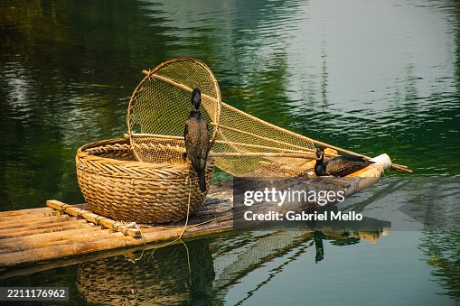 Birds on a boat in Yangshuo Birds on a boat in Yangshuo