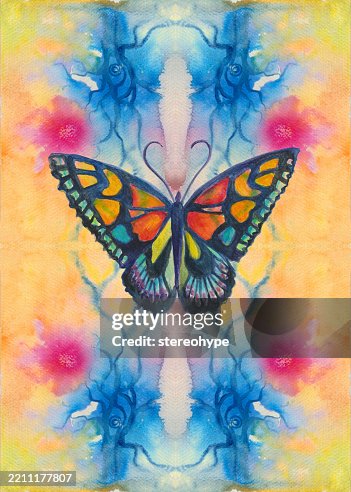 Static butterfly Static butterfly