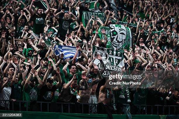 Panathinaikos AKTOR Athens supporters have fun during the Euroleague, Game 2 Playoffs match between Panathinaikos AKTOR Athens and Anadolu Efes at...