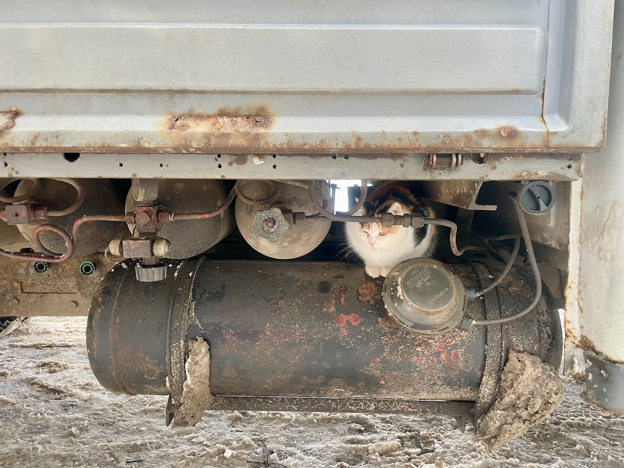 winter crawlspace