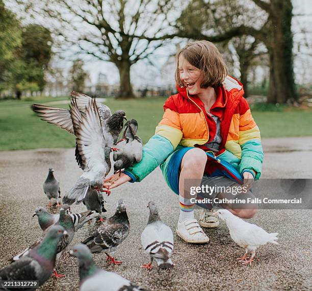 child on a path, hand-feeding tame pigeons - animal body part stock pictures, royalty-free photos & images