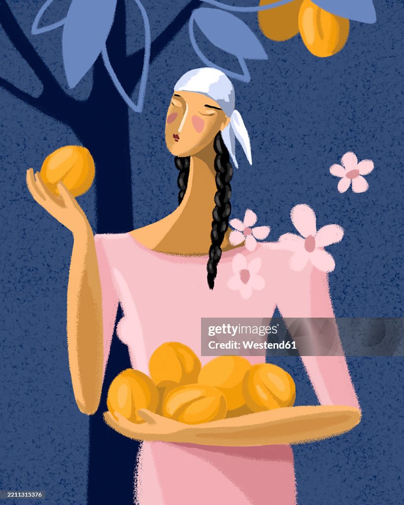 Illustration of a woman picking apricots from a tree