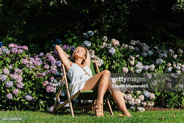 carefree woman sitting on outdoor chair near hydrangea flower bush - hydrangea stock pictures, royalty-free photos & images