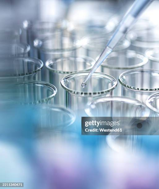 pipette adding sample to test tubes in a laboratory setting - equipamento de laboratório imagens e fotografias de stock