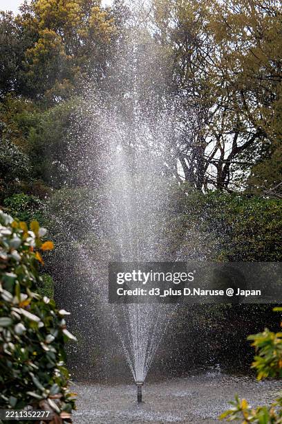 Fountain Springsource 376 Groundwater Source Stock Photos, High-Res Pictures, and Images ...