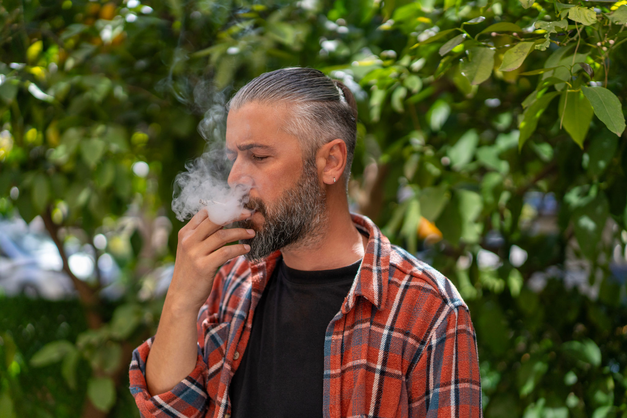 cannabis culture