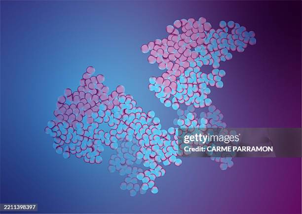 Protein Structure Vector Protein Structure High-Res Vector Graphic - Getty Images
