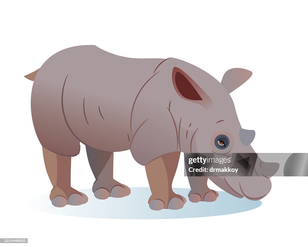 Sumatran Rhinoceros