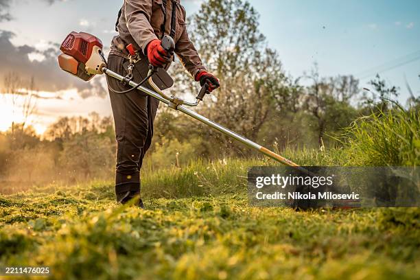 worker using a grass trimmer in a lush green outdoors - cortar relva imagens e fotografias de stock