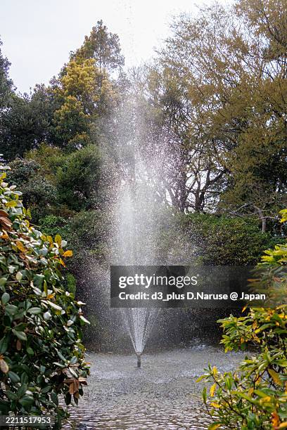 Fountain Springsource 376 Groundwater Source Stock Photos, High-Res Pictures, and Images ...