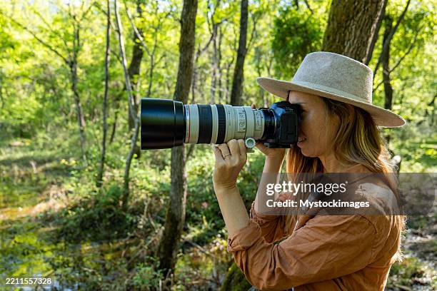 woman photographing nature with a telephoto lens in a rural setting - lente telefotográfica imagens e fotografias de stock