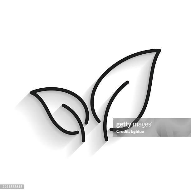 tea leaf. line icon with long shadow on white background - green tea leaf vector stock illustrations