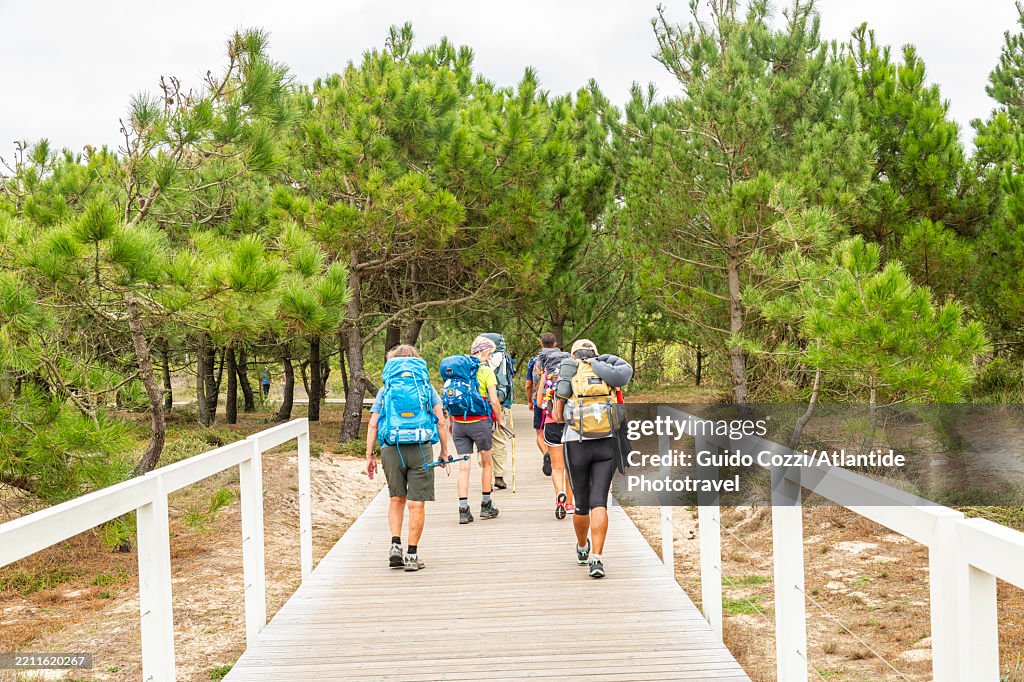 Portugal, footpath along the beach of Esposende