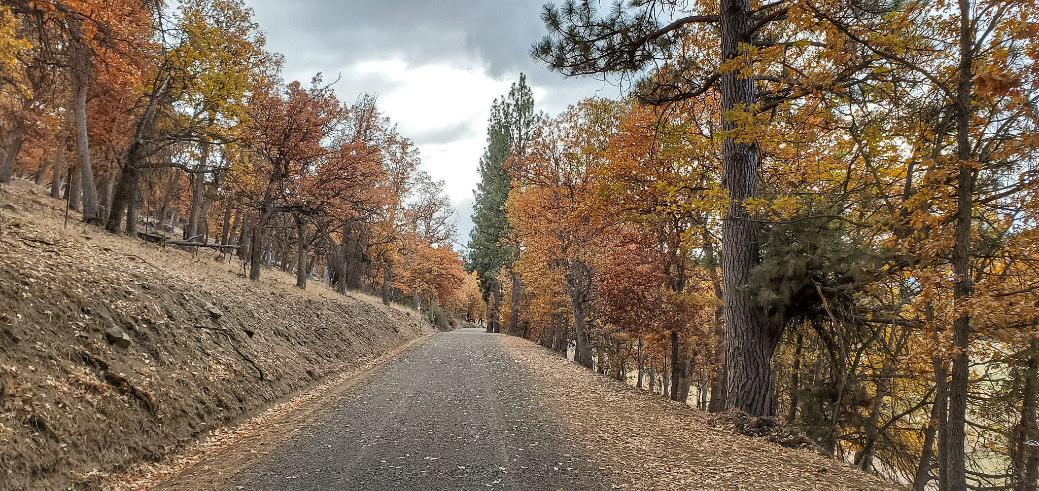 san bernardino weather