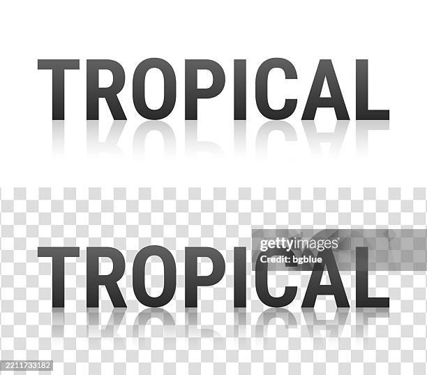 tropical - text with reflection on transparent background - tree shadow white stock illustrations