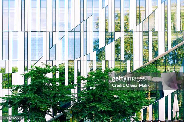 modern building facade with glass windows and green trees reflection - nachhaltiges wirtschaften stock-fotos und bilder