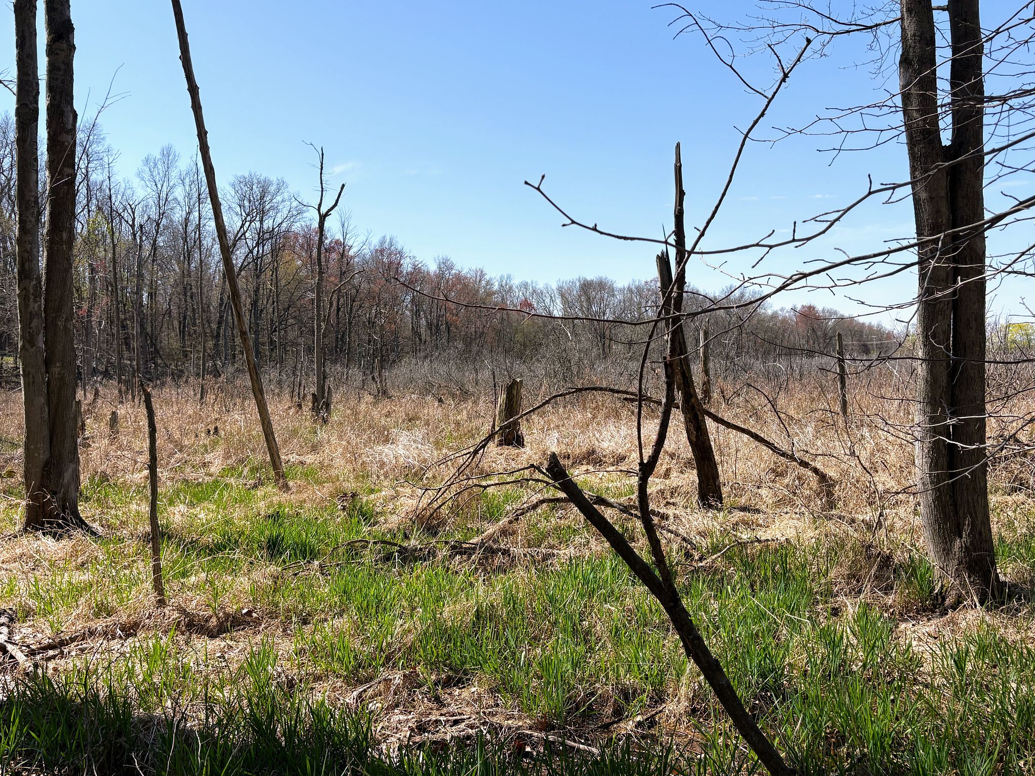 west michigan spring