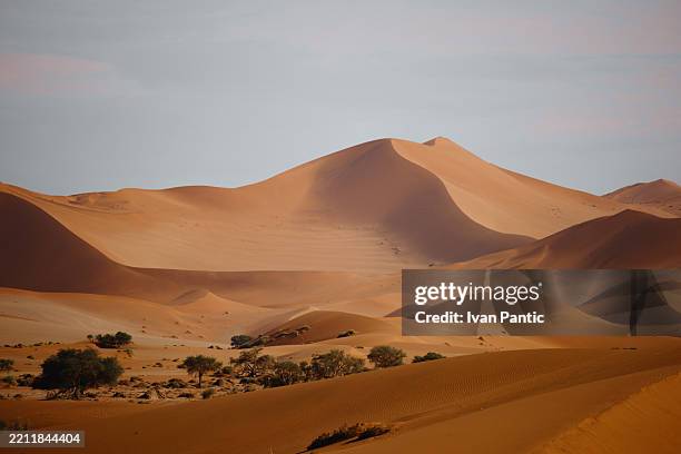 majestueuses dunes de sable s’élevant dans le désert de namib, namibie - désert photos et images de collection