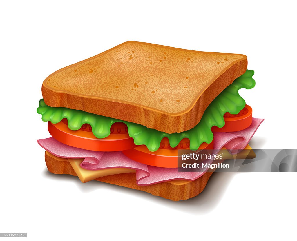 A Realistic Vector Illustration of a Delicious Sandwich Made with Toasted Bread, Fresh Lettuce, Juicy Tomato Slices, Cheese, and Folded Slices of Ham, Layered Together