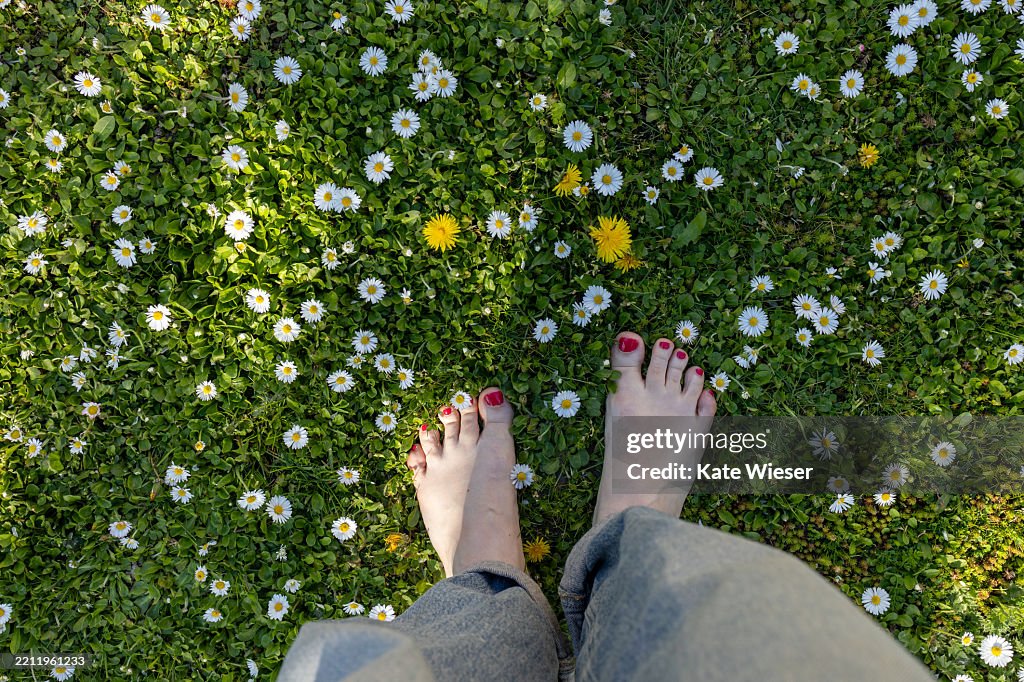 Grounding. Earthing. Woman standing barefoot on the green meadow